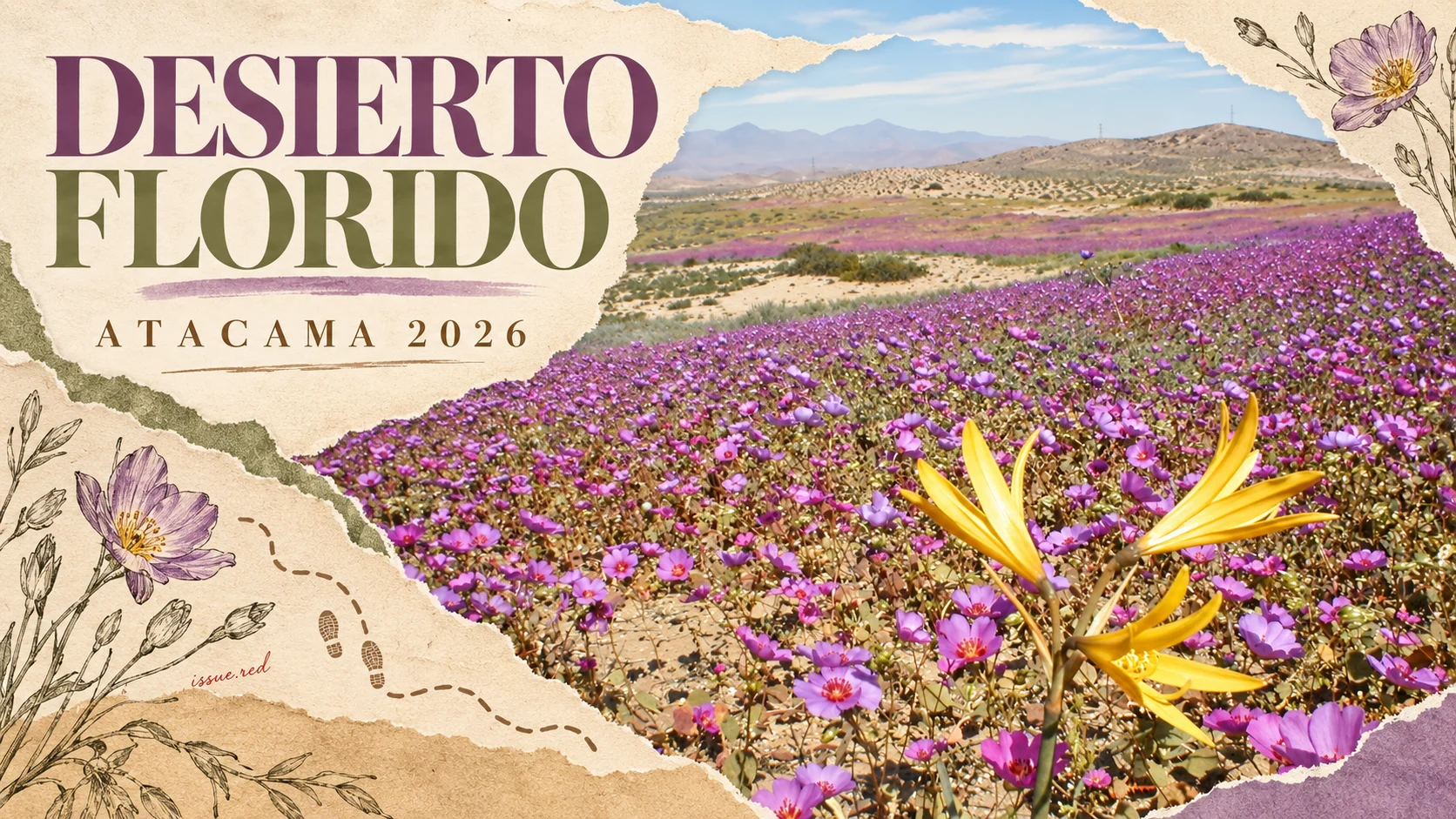 Portada editorial en papel crema con una foto de archivo del Desierto Florido en Atacama, flores silvestres dibujadas y el título Desierto Florido, Atacama 2026.