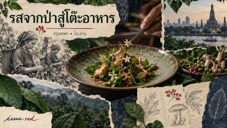 ภาพคอลลาจมื้ออาหาร Forest to Table ที่โบ.ลาน กรุงเทพฯ ภาพป่าและวัตถุดิบพร้อมลายเซ็น issue.red
