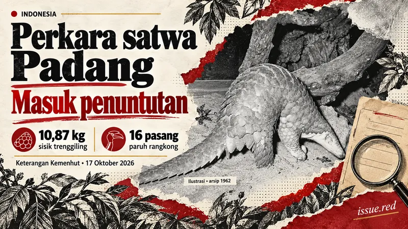 Kolase editorial perkara satwa dilindungi di Padang, dengan foto trenggiling arsip1962 dan ilustrasi hutan.