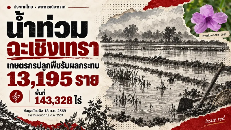 คอลลาจข้อมูลน้ำท่วมฉะเชิงเทรา ใช้ภาพฝนบนดอกไม้จากคลังและภาพวาดเชิงอธิบาย