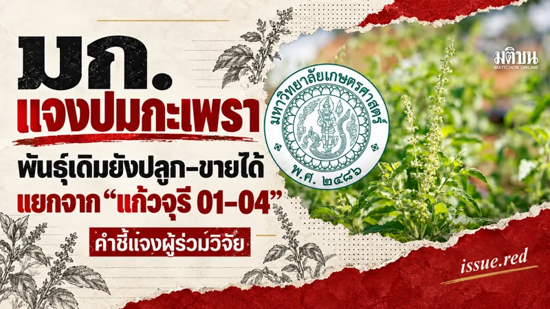 ภาพคอลลาจจากภาพกะเพราและตรามหาวิทยาลัยที่แนบจากมติชน พร้อมข้อความอ้างคำชี้แจงว่าพันธุ์เดิมยังปลูกขายได้ ไม่ได้ยืนยันพันธุ์ของต้นในภาพ