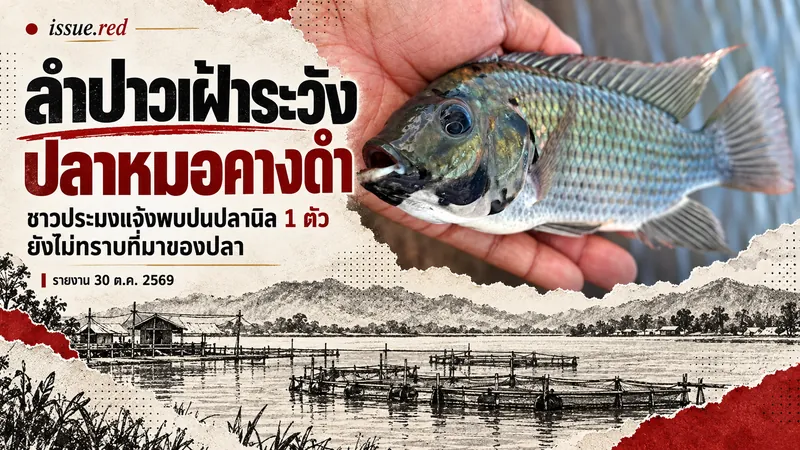 ปกคอลลาจผสมภาพปลาจากรายงานต้นทางกับลายวาดกระชังปลา