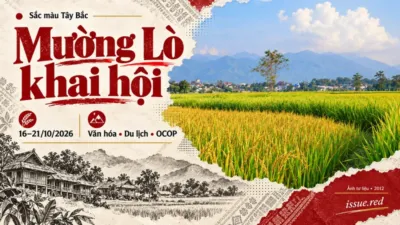 Ảnh tư liệu cánh đồng Mường Lò năm 2012 trong tranh ghép biên tập; không phải ảnh lễ hội 2026.
