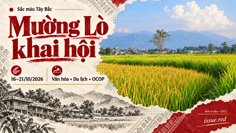 Ảnh tư liệu cánh đồng Mường Lò năm 2012 trong tranh ghép biên tập; không phải ảnh lễ hội 2026.